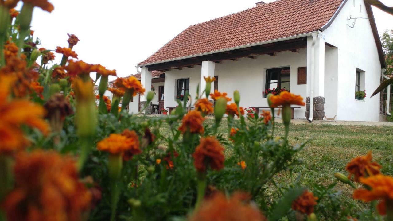 Hotel Oncsa Vendeghaz Gyöngyös Exterior foto